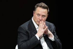 Elon Musk Don Lemon