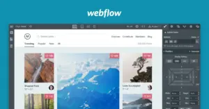 Webflow Review 2024