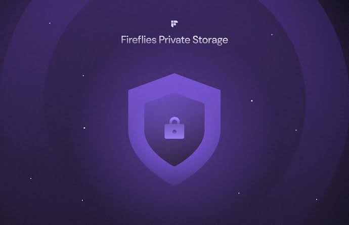 Fireflies.ai Data Storage
